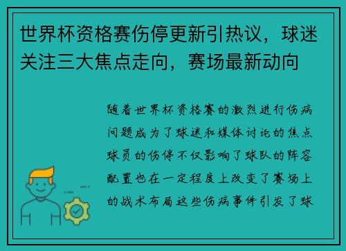世界杯资格赛伤停更新引热议，球迷关注三大焦点走向，赛场最新动向